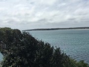 Went to CRONULLA had a riot but who has ever fucked at a covid test site? - Manlyfoot roadtrip