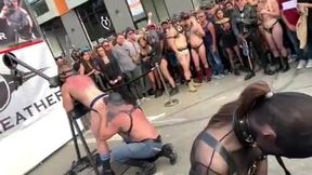 piss at folsom street fair with ts natalie mars