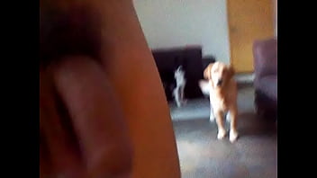 Caminando en pelotas