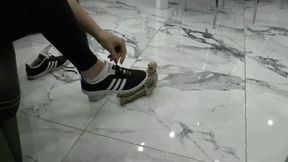 Make the doll smell and kiss your soles MP4 FULL HD 1080p