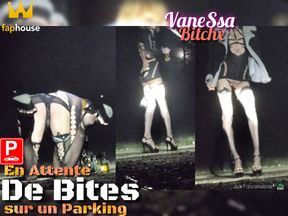 Waiting for Beautiful Cocks, Ass in the Air in a Parking Lot at Night