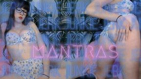 Jerk junkie mantras