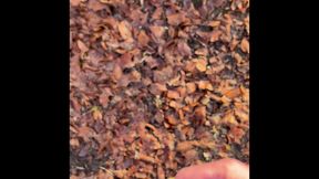 In the morning before work