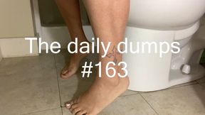 The daily dumps #163