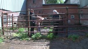 Out on the Farm with Breeding and Order, Whoever Does Not Hear Must Feel