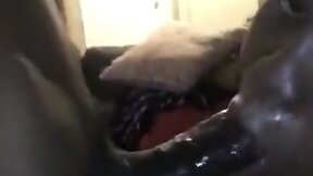 Thick chunky enormous baby shemale swallowing huge ebony penis