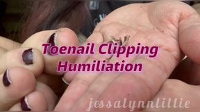 Toenail Clipping Humiliation