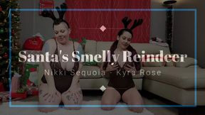 Santa's Smelly Reindeer