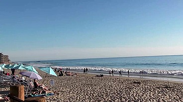 Jerry Kovak Pounds Pepper Xo Wild on Laguna Beach