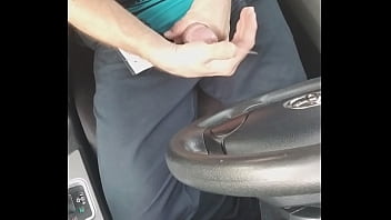 Pajaso en el carro