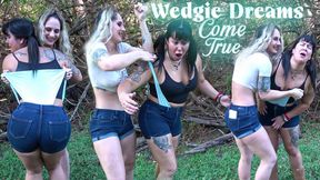 Wedgie Dreams Come True UHD