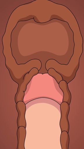 FAMILY GUY PETER CREAMPIES LOIS FULL VIDEO   Clip 2