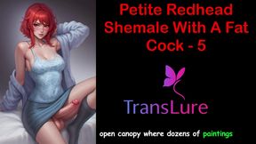 Audio Sex Story - Petite Redhead Shemale with a Fat Cock - 5