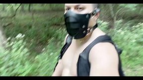Take a Scroll with Me in the Woods