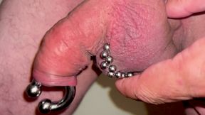 small pierced cock after 40 minutes elastrator