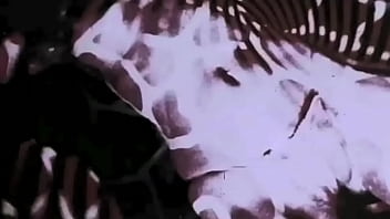 Vintage Japanese Erotica - Classic Animated Art