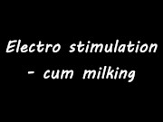 Electro stimulation - cum milking