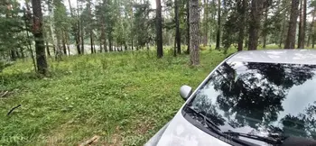 Extreme shock , A slave fucked on the hood of a car near truckers watching our fuck without a condom.