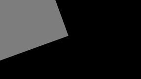 The Secret Rendezvous