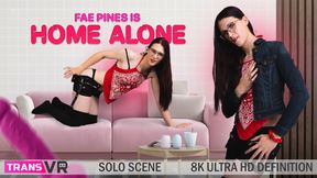 [Trans] Fae Pines Is Home Alone!