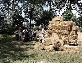 Sexy blonde gets a wild gangbang in the great outdoors