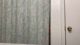 Caught peeping on Roni!