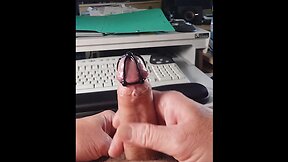 New toy cock plug with cage cover