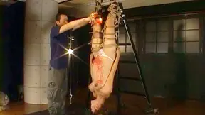 Modelo Japonesa Kinky Yuri Matsushima Le Encanta La Cera de Vela En Ella