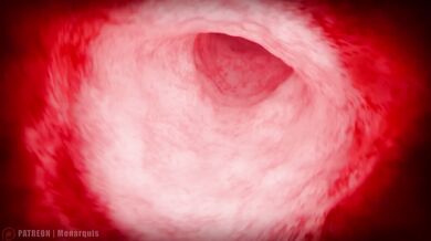 Momo's Throat Internal | ANIMATION