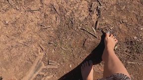Gathering fire wood with my dirty feet