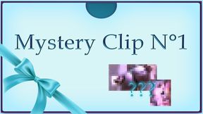 MYSTERY CLIP - n°1