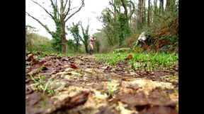 exhibition in nature