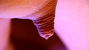 Micropenis Special [2024]