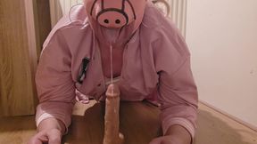 The fat sissy pig has fun with the dildo