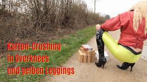 Cardboard crush in overknees and leggings - Karton-Crush in Overknees und Leggings