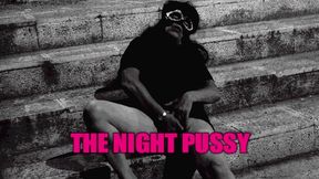 THE NIGHT PUSSY