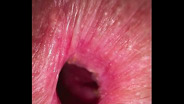 She farted so hard that I lost consciousness and sex stopped