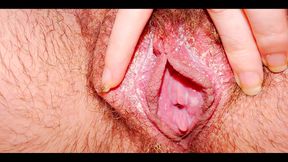 Creamy Pussy in Close-up.