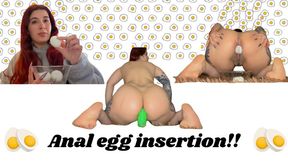 Anal egg insertions