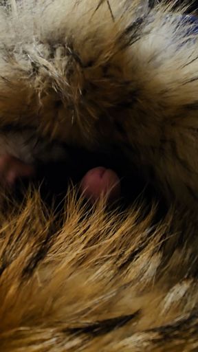 Playing in my furs puffer hood falls on my cock makes me accidentally cum all over it