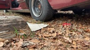 Cold starting my 1976 thunderbird (exhaust shot)