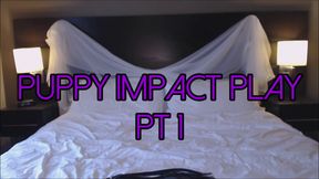 Puppy Impact Play PT1