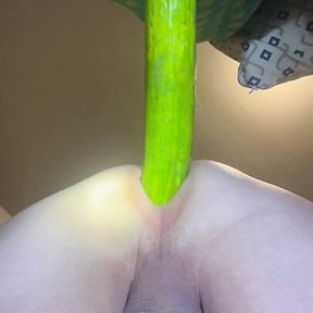 14 inch cucumber anal