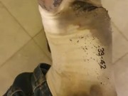 Chaussettes portées un mois