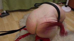 Slave-Pig Tied And Whipped - Part 1!