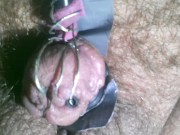 Spun electrocuting my tiny limp penis head good pain