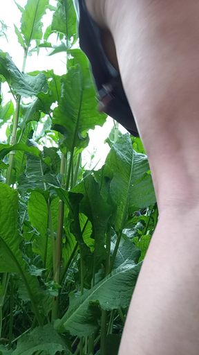 Free outdoor boobs show!