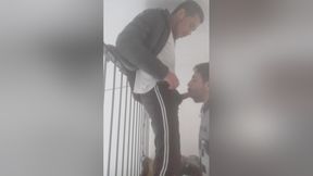 Taking Care Of A Friends House