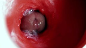 A Big Beautiful Cock Flows Abundantly Inside a Wet Slippery Hole and Smacks!