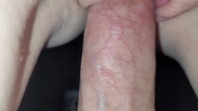Cock in Pussy